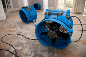 WATER EXTRACTION DRYING DE-HUMIDIFICATION Houston Renovation Contractors